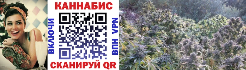 Купить наркотики сайты Вязьма Конопля  Гашиш 