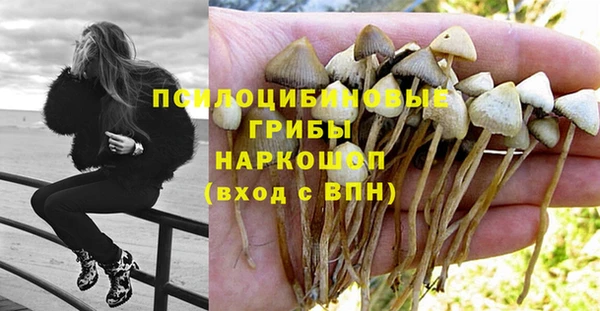 каннабис Баксан