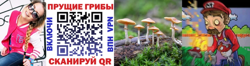 Галлюциногенные грибы мухоморы  blacksprut зеркало  Вязьма  купить наркоту 